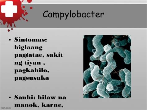 parang nasusuka pero hindi|Pagkahilo at Pagsusuka: Mga Sanhi at Gamot .